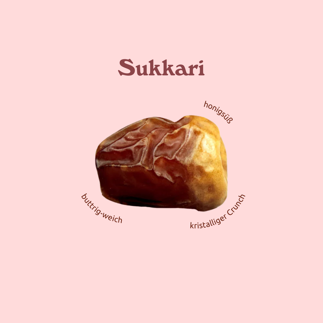 Dattel Probierbox (Bio)