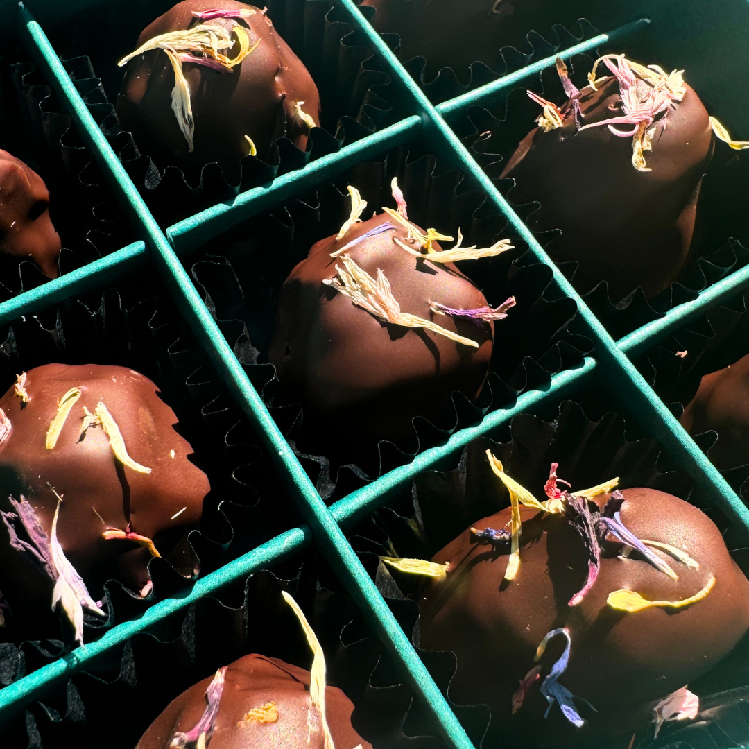 Praline des Monats: Mohn Vanille (Bio)