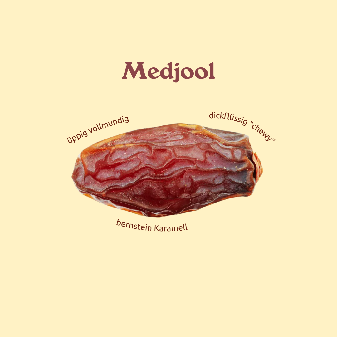 Dattel Probierbox (Bio)